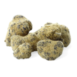 Moon Rocks