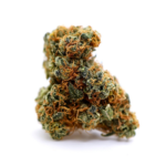 Organic Chocolope Kush